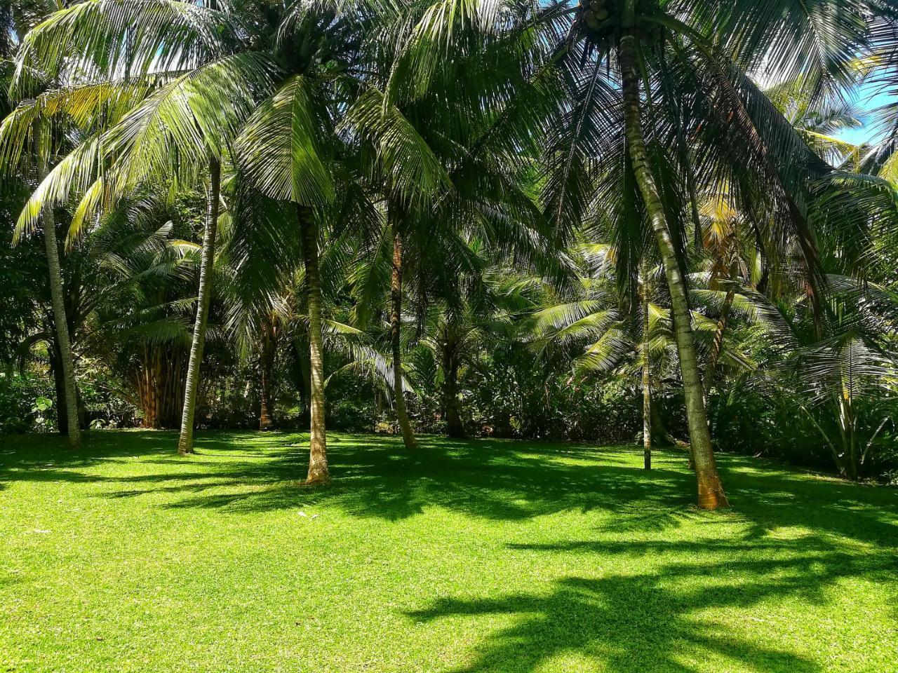 Old Parkland Hostel Galle Exterior photo