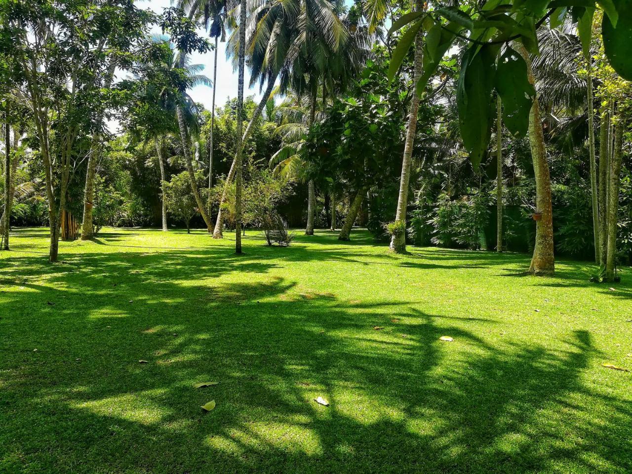 Old Parkland Hostel Galle Exterior photo